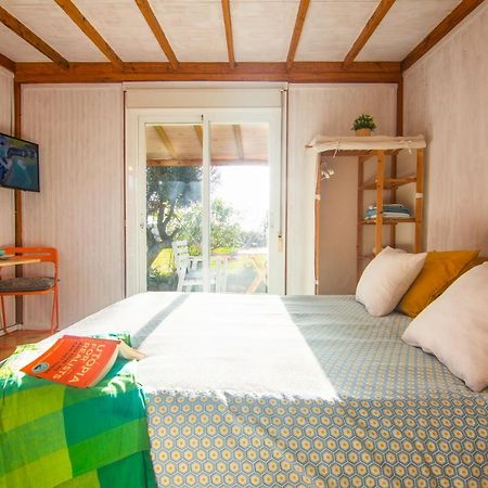Romantic Beach Cabin - Playa El Palmar El Palmar  Eksteriør billede