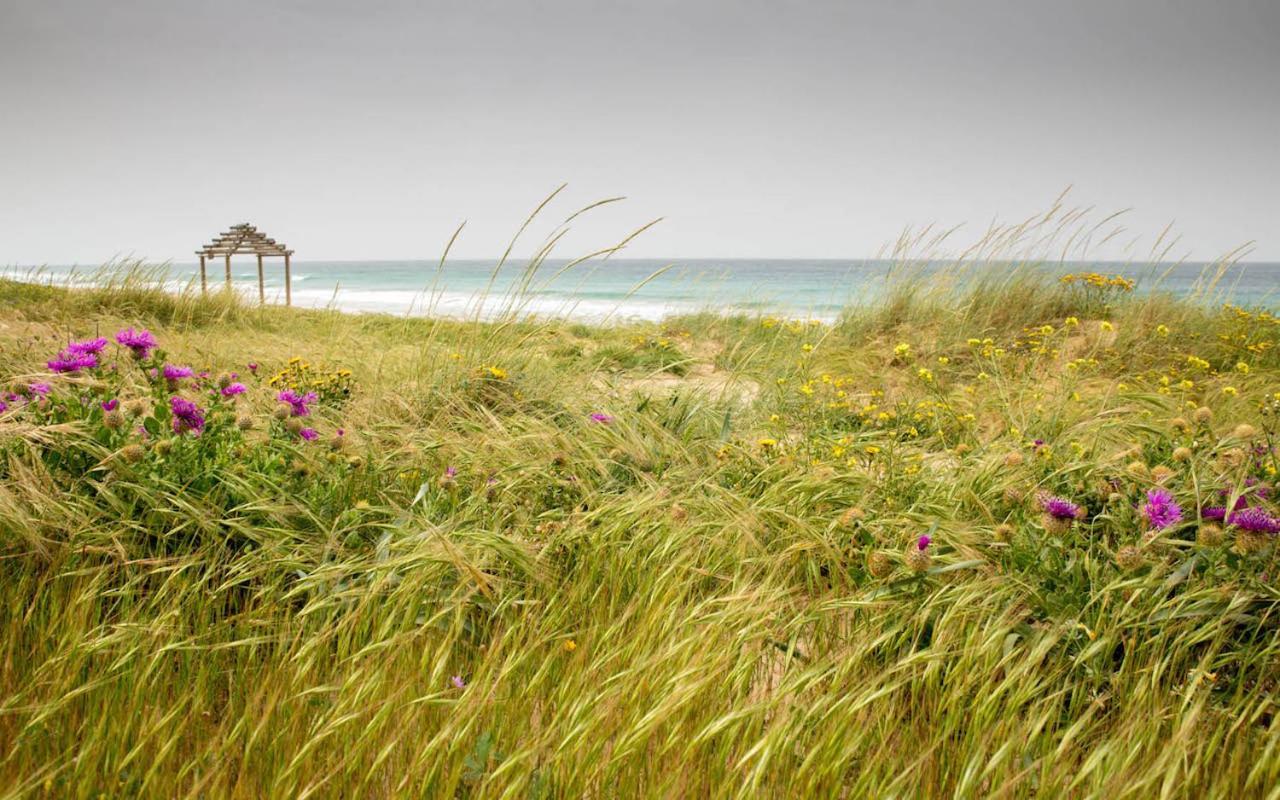 Romantic Beach Cabin - Playa El Palmar El Palmar  Eksteriør billede